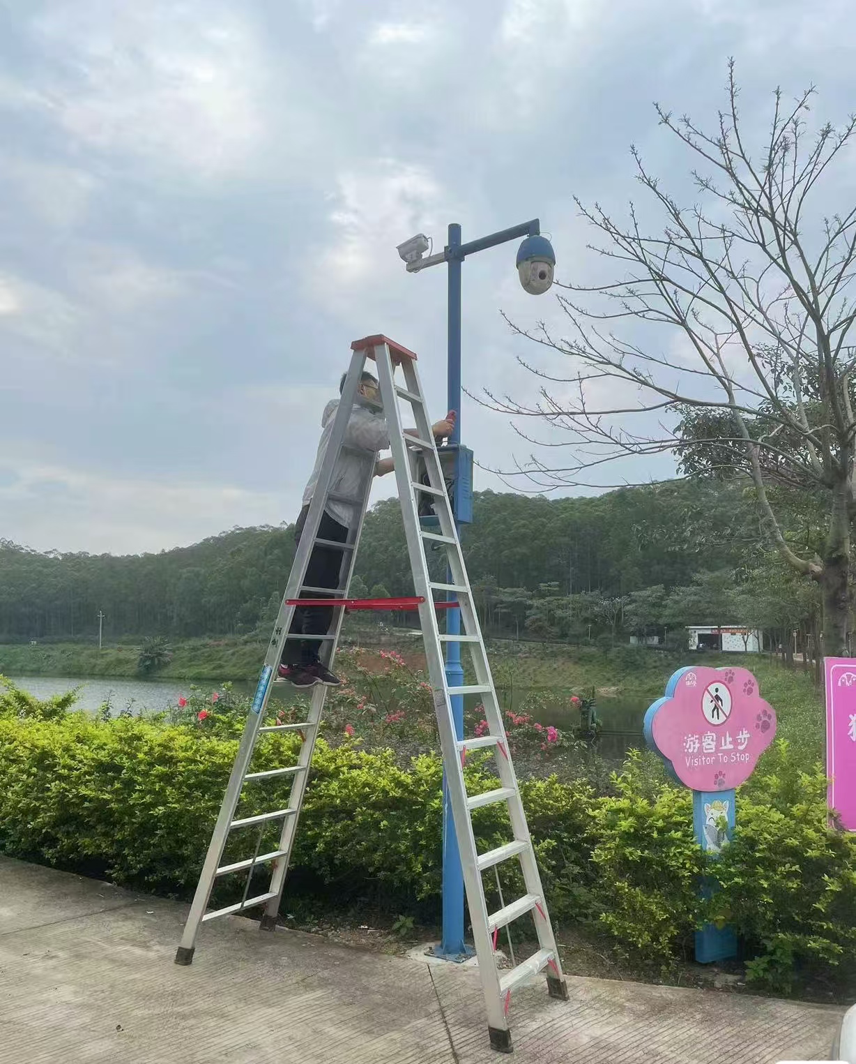 某公园视频监控建设1